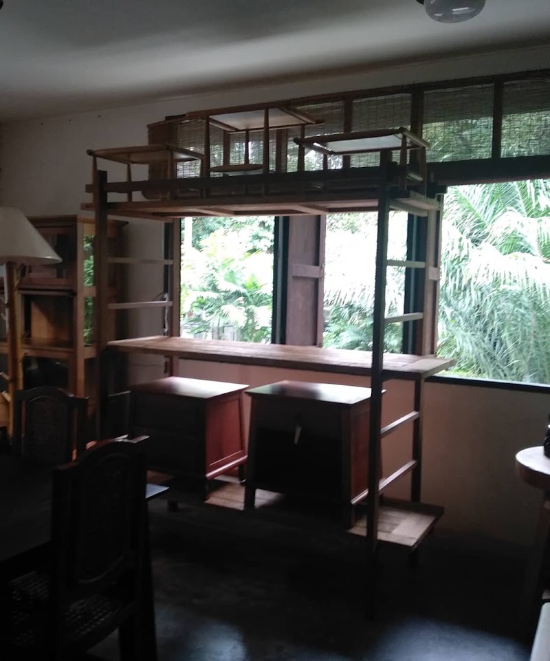 Y50 - Y50, 24 26 ซ. เอกมัย 21 Khwaeng Khlong Tan Nuea, Watthana, Krung Thep Maha Nakhon 10110, Thailand