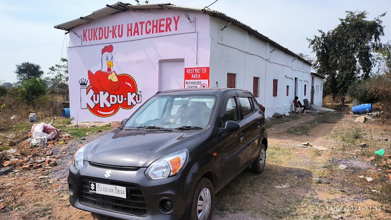 Kukdu ku hatchery - Kukdu ku hatchery, 44XC+F4F, Mauhabhata, Chhattisgarh 491443, India