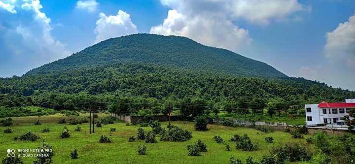 Gandhamardhan hills - Gandhamardhan hills, Odisha 768039, India