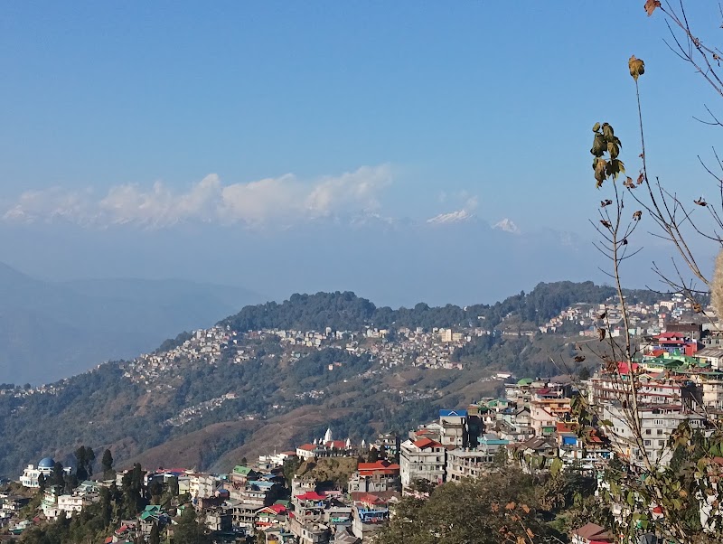 Yuma Homestay - Yuma Homestay Merry Villa, below Peace Pagoda, Rajbari, Darjeeling, West Bengal 734101, India
