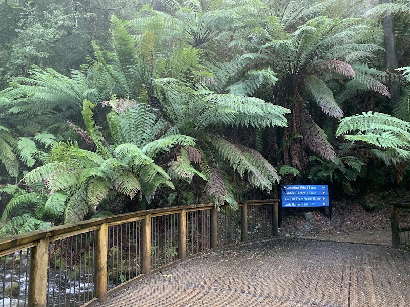 Russell Falls - Russell Falls, National Park TAS 7140, Australia