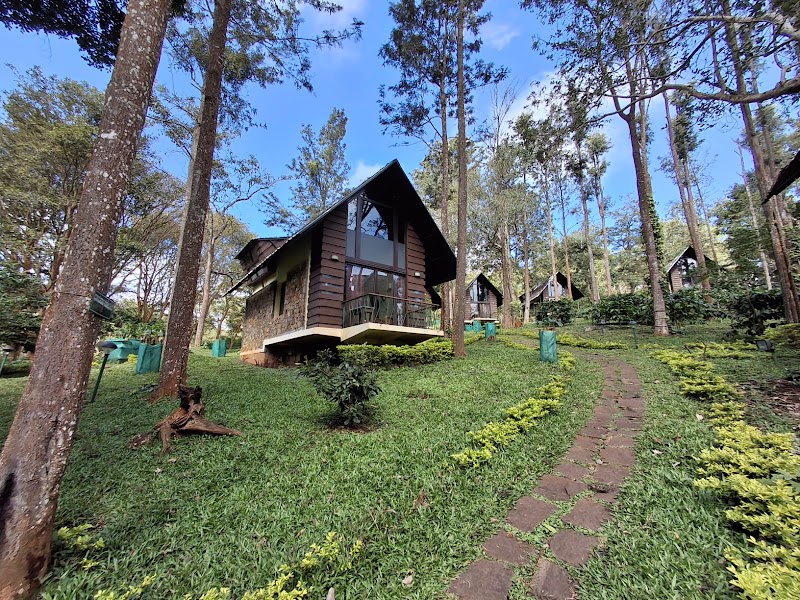 Gorukana Eco Wellness Centre - Gorukana Eco Wellness Centre, Taluk, opp. Yerakanagadde Colony, near Vivekananda Health Centre, B.R.Hills, Yelandur, Karnataka 571441, India
