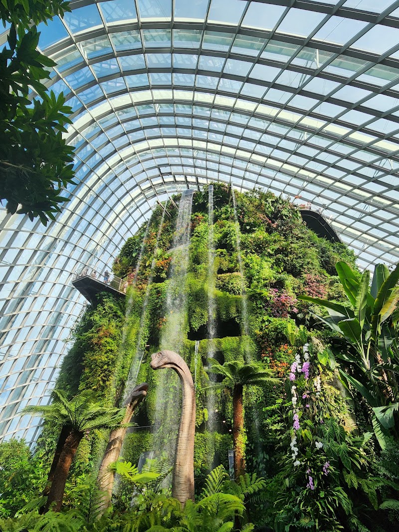 Gardens by the Bay - Gardens by the Bay 18 Marina Gardens Dr, Singapore 018953