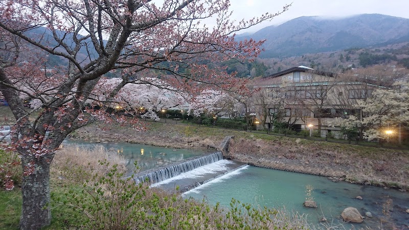 Miyagino - Miyagino, Hakone, Ashigarashimo District, Kanagawa 250-0401, Japan