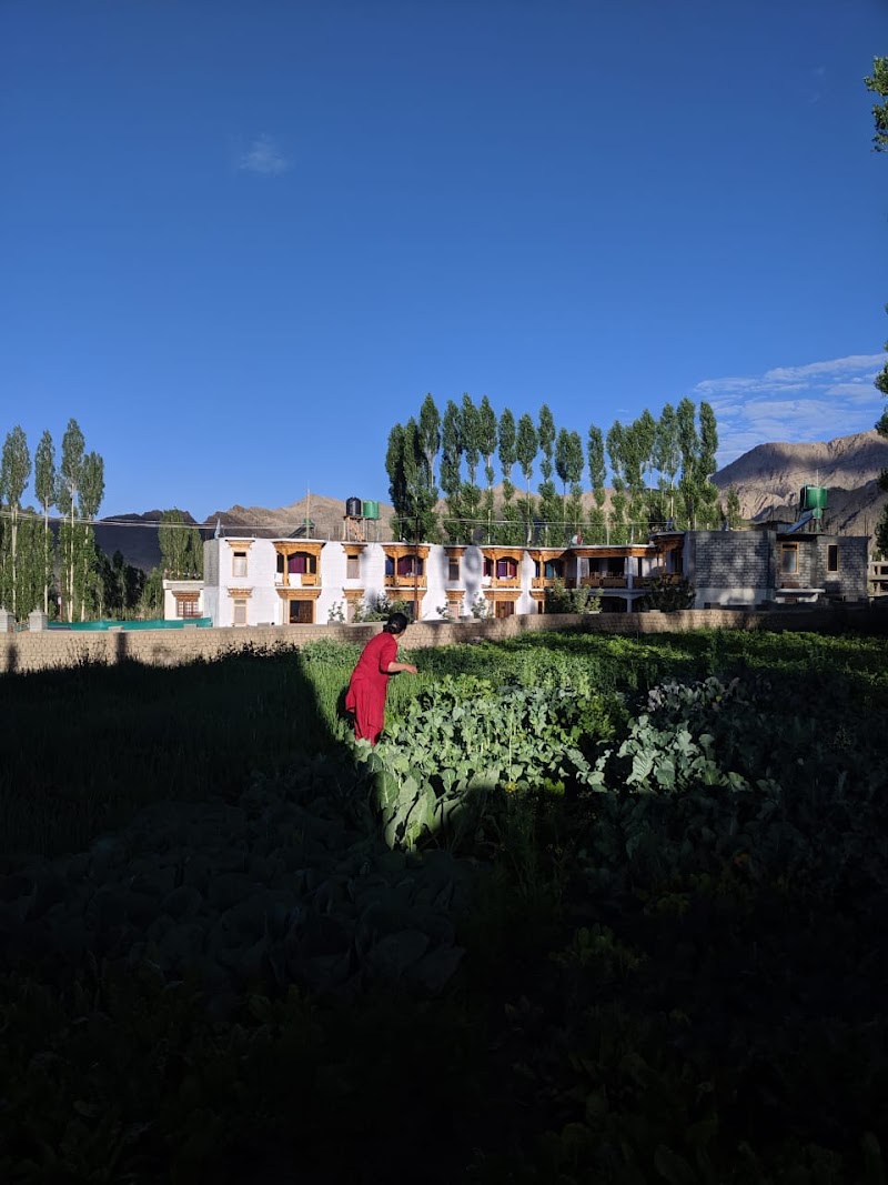 Gotal Guest House - Gotal Guest House Ladakh, Upper Tukcha Rd, Leh, 194101