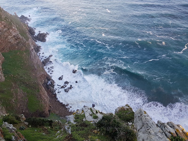 Cape of Good Hope Scenic View Point - Cape of Good Hope Scenic View Point, JFVV+QX, Cape Point, Cape Town, South Africa