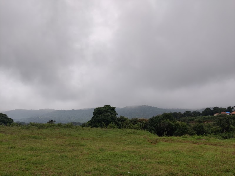Tintin Meadows View Point - Tintin Meadows View Point VQ54+G3, Haragarahalli, Karnataka 573134, India