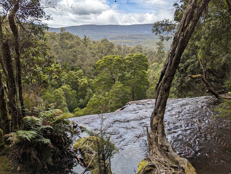 Mount Field National Park - Mount Field National Park, 66 Lake Dobson Rd, National Park TAS 7140, Australia