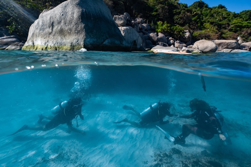 Pura Vida Diving - Pura Vida Diving, 9/24, ตำบล เกาะเต่า Koh Tao, สุราษฎร์ธานี 84360, Thailand