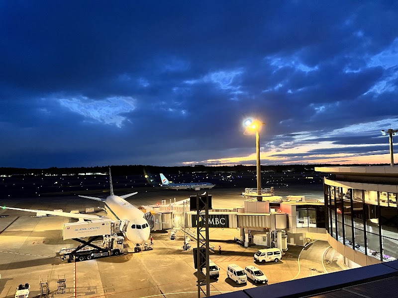 Narita International Airport - Narita International Airport 1-1 Furugome, Narita, Chiba 282-0004, Japan