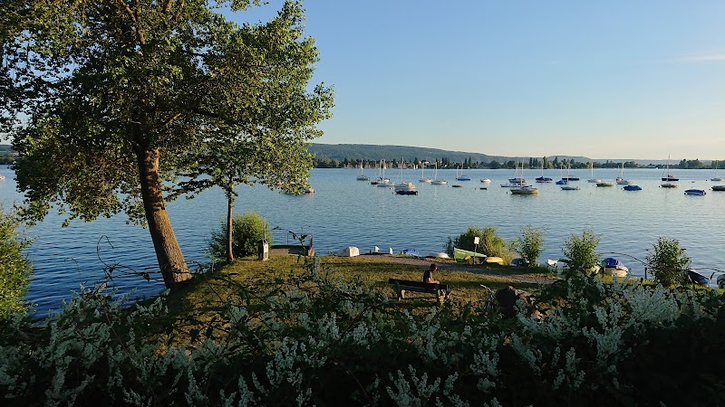 Camping am See - Camping am See Strandweg 30, 78476 Allensbach, Germany