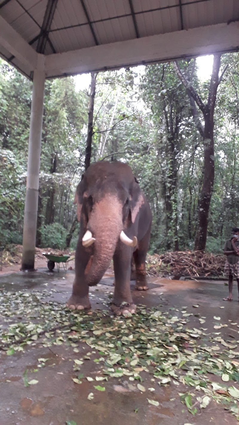 Kodanad - Kodanad Kodanad, Kerala 683544, India