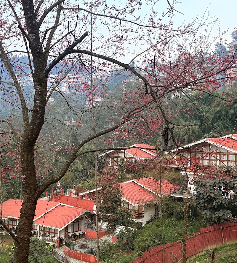 Kaya Gantavya Resort & Spa | Pelling - Kaya Gantavya Resort & Spa | Pelling Pelling-Rimbi Rd, Pelling City, Sikkim 737113, India