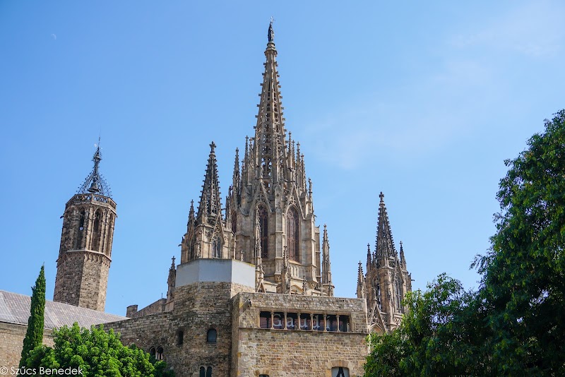 Cathedral of Barcelona - Cathedral of Barcelona Pla de la Seu, s/n, Ciutat Vella, 08002 Barcelona, Spain