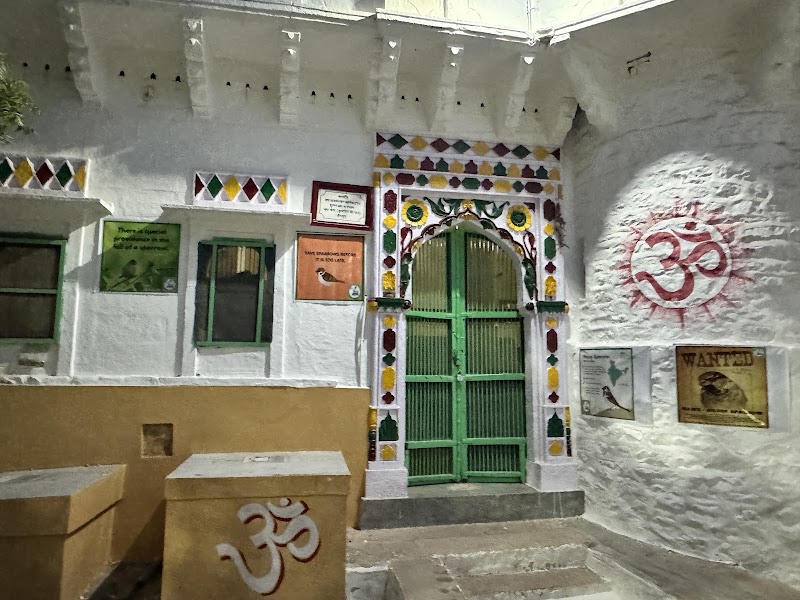 Green Wall - Green Wall 72Q3+WX9, Indira Colony, Pratap Nagar, Jodhpur, Rajasthan 342003, India