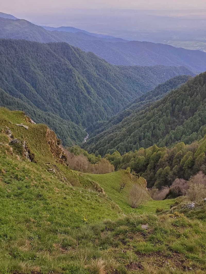 Campsite - Lagodekhi Nature Reserve