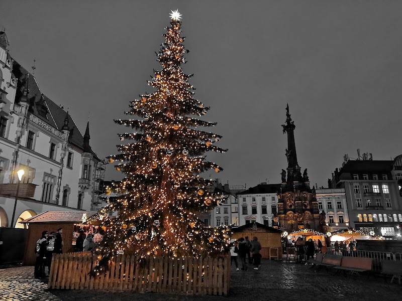 Horní náměstí - Horní náměstí Horní nám., 779 00 Olomouc-Olomouc 9, Czechia