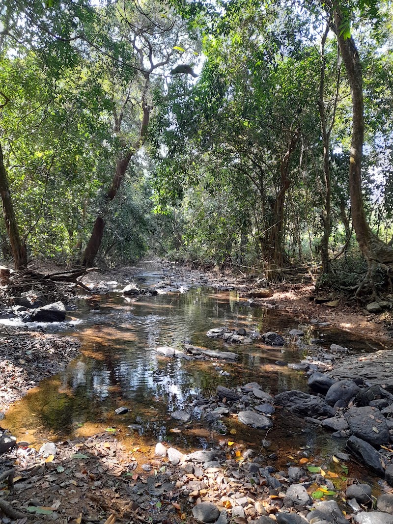 Sanvordem Waterfall - Sanvordem Waterfall G5HX+98Q, Unnamed Road, Valpoy, Goa 403506, India