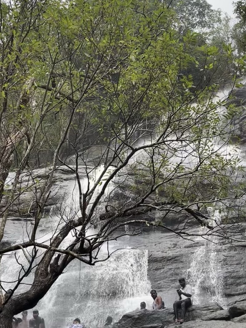 Kiliyur Falls - Kiliyur Falls Q6W2+CF7, Killiyur Road, Kiliyur, Tamil Nadu 636602, India
