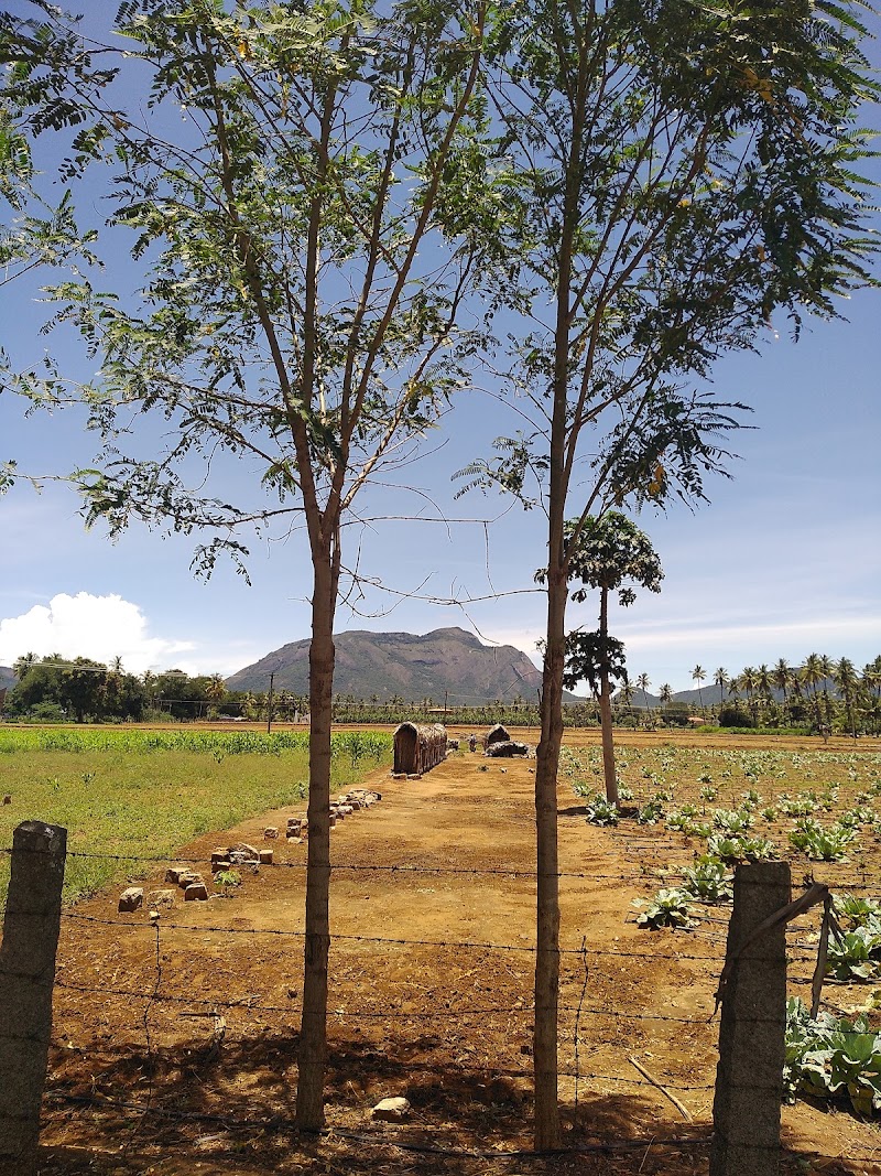 Siruvani Main Road - Siruvani Main Road, Siruvani Main Rd, Mathampatty, Tamil Nadu 641010, India