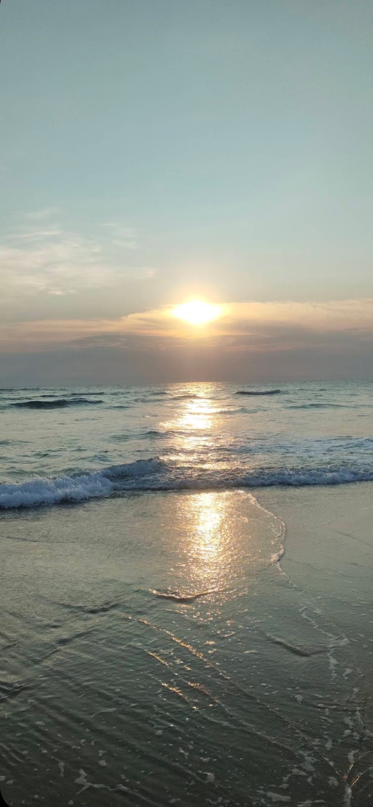Arichal Munai Beach, Dhanush Kodi - Arichal Munai Beach, Dhanush Kodi, Dhanushkodi, Tamil Nadu, India