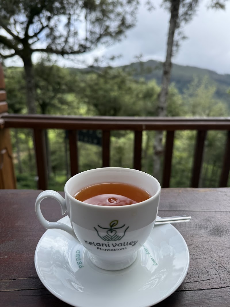 Pedro Tea Estate - Pedro Tea Estate XQ3F+3FX, Nuwara Eliya 22200, Sri Lanka