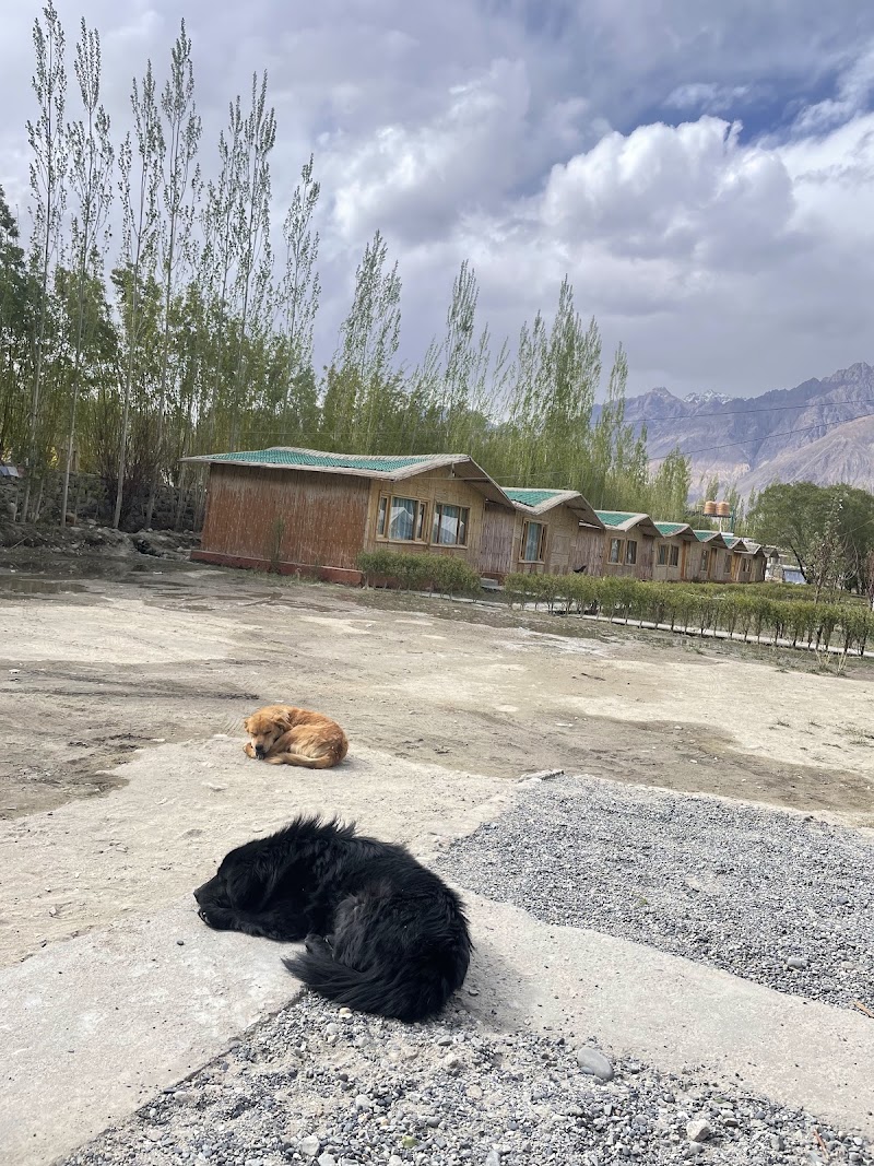 The Nubra Valley Resort - The Nubra Valley Resort Sand dunes road, Hunder, 194401