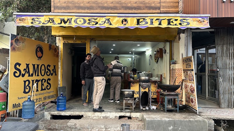 Samosa bites