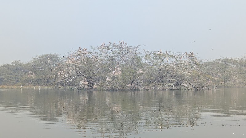 Sultanpur National Park - Sultanpur National Park National Park, Gurgaon - Farukhnagar Rd, Sultanpur, Gurugram, Haryana 122006, India