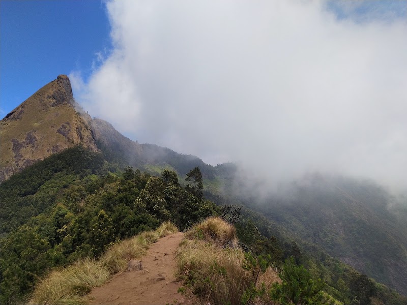 Misty mountain view point - Misty mountain view point 22RQ+JG9, Munnar Bypass, Keralam 685565, India