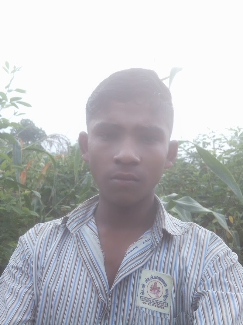 PUSPA BEN (KSK) SUNDARGARH - PUSPA BEN (KSK) SUNDARGARH, 2JWJ+M8R, Raigarh - Sundargarh Rd, Odisha 770024, India