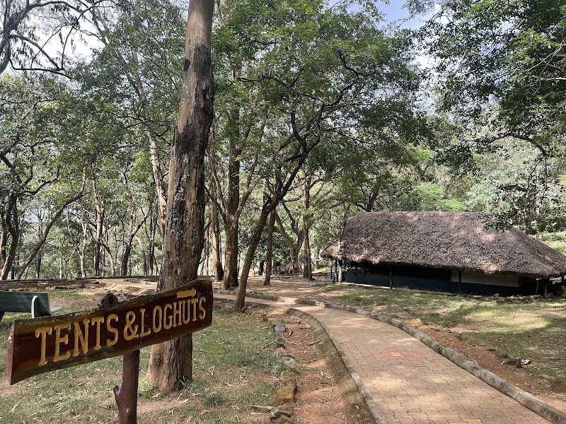 K Gudi Wilderness Camp-Jungle Lodges - K Gudi Wilderness Camp-Jungle Lodges, BR Hills Road, SH 80, Chamarajanagar, Karnataka 571342, India