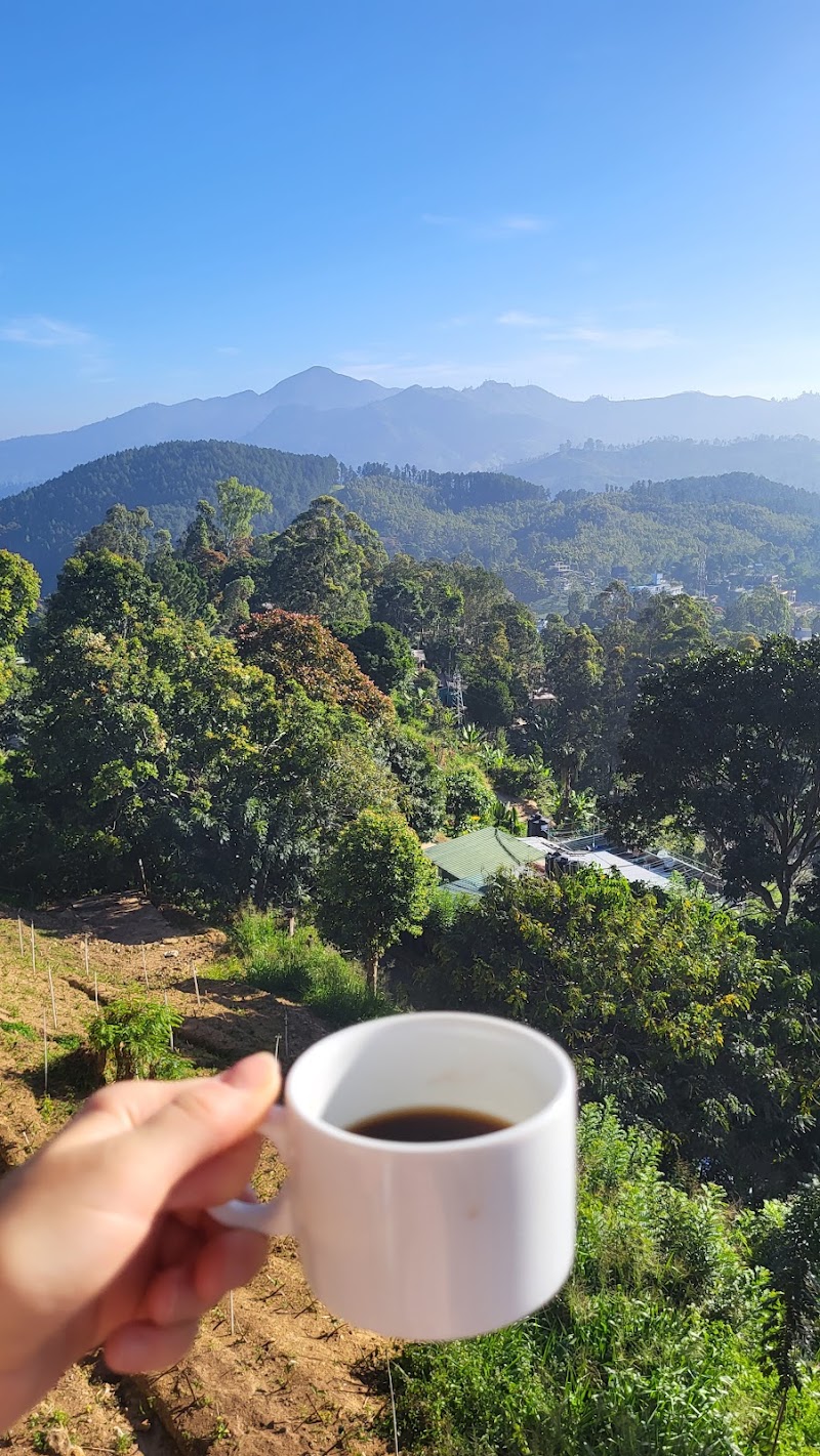 Pleasant Peak - Pleasant Peak, V2CR+7V9, Ella, Sri Lanka
