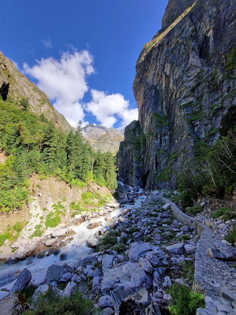 Valley of Flowers, The Paradise on Earth - Valley of Flowers, The Paradise on Earth PH4W+F96, Ghangaria - Valley of Flowers Trek Rte, Ghangaria, Uttarakhand 246443, India