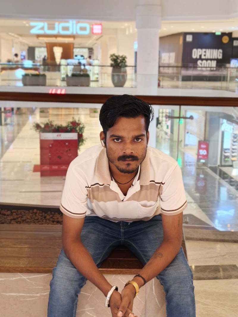 THE BEAR HOUSE - THE BEAR HOUSE 6PQ8+H2J, Serikhedi, Jora, Chhattisgarh 492012, India