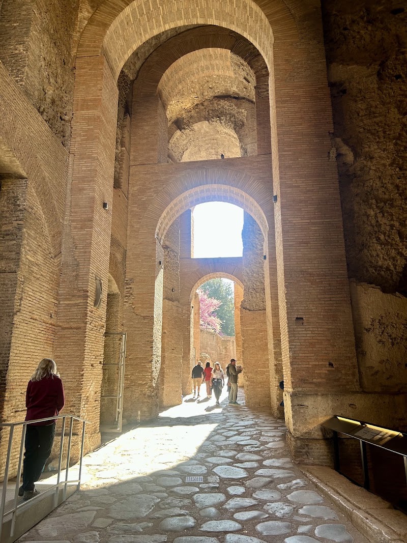 Through Eternity Tours - Through Eternity Tours, Via Stamira, 63, 00162 Roma RM, Italy