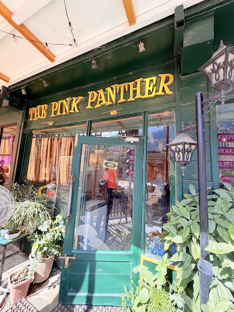 The Pink Panther Jibhi - The Pink Panther Jibhi Ani - Banjar - Aut Rd, Jibhi, Bini, Himachal Pradesh 175123, India