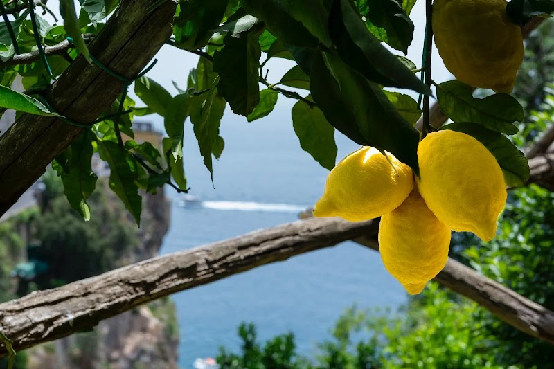 AmalfiCoast Experience - SunRoad - AmalfiCoast Experience - SunRoad, Via Umberto I, 58, 84010 Praiano SA, Italy