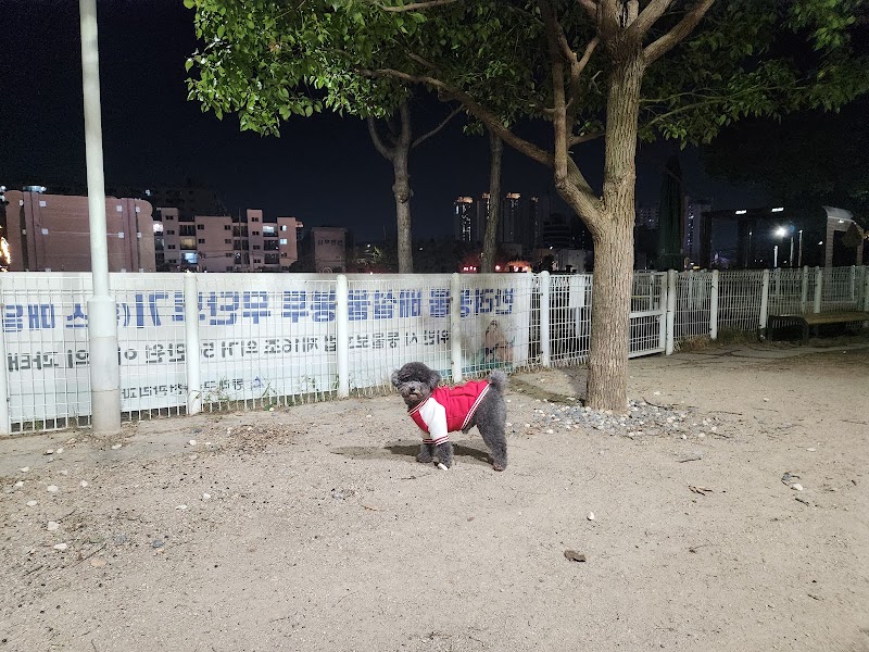 반려동물 산책놀이공원 - 반려동물 산책놀이공원, 982-5 Sajik-dong, Dongnae-gu, Busan, South Korea