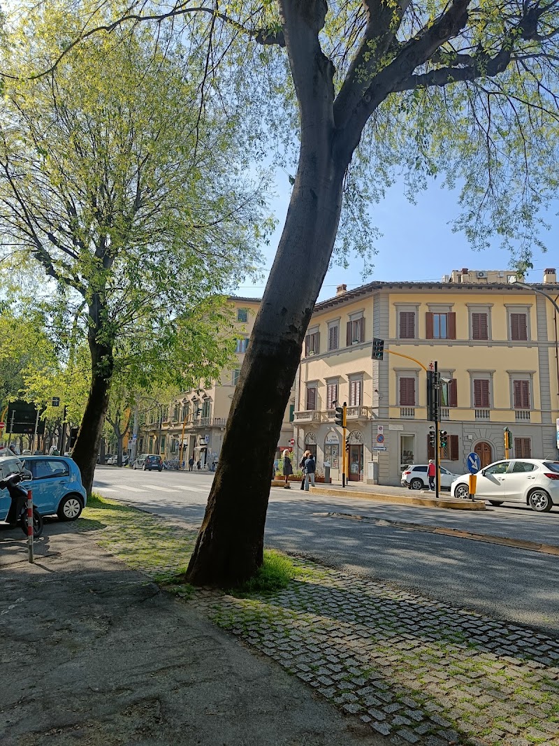 Libreria L' OraBlu - Libreria L' OraBlu, Viale dei Mille, 27 R, 50131 Firenze FI, Italy