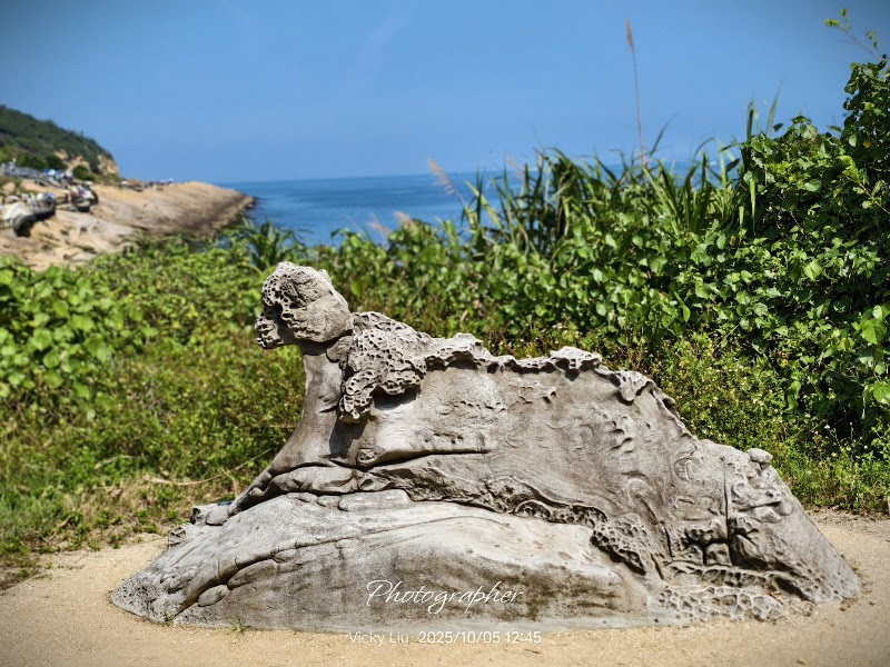 Yeliu Geology Park - Yeliu Geology Park, Wanli District, New Taipei City, Taiwan 207