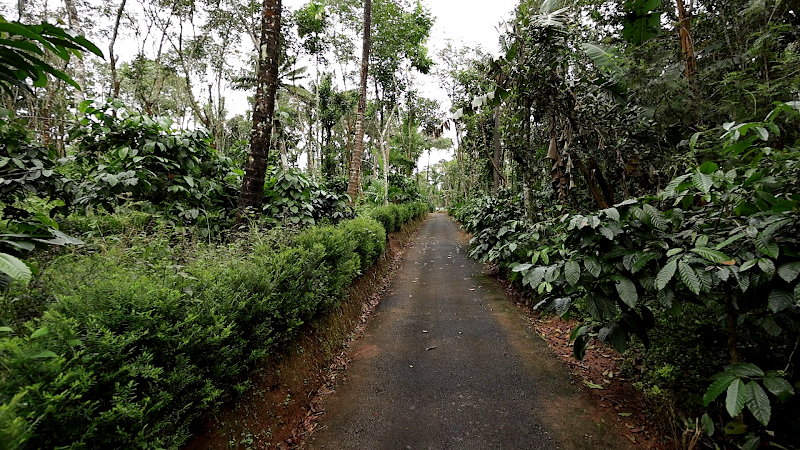 Spices Garden Villa - Spices Garden Villa Pulikkad, Dwaraka, Mananthavady, Nalloornad, Kerala 670645, India