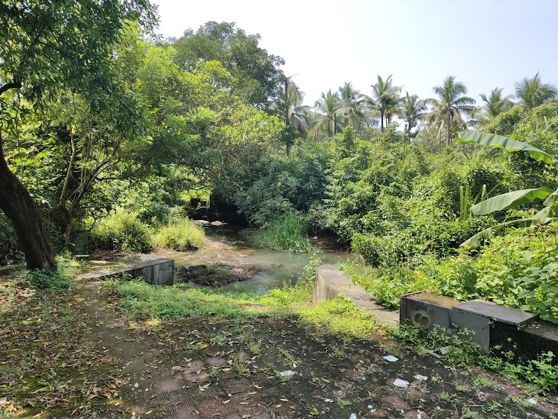 Zariwada Spring Cortali - Zariwada Spring Cortali 647V+QGF, Kotarli, Goa 403704, India