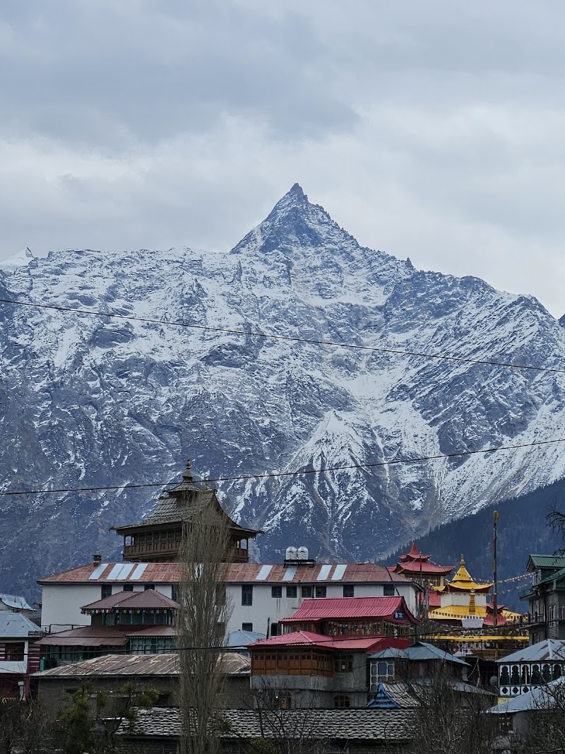 DAISY HOMESTAY KALPA - DAISY HOMESTAY KALPA tehsil, distt, Kalpa, Himachal Pradesh 172108, India
