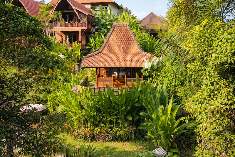 The Jungle Villa Penestanan Kelod Sayan,ubud - The Jungle Villa Penestanan Kelod Sayan,ubud Br,Penestanan Kelod, Sayan, Kecamatan Ubud, Kabupaten Gianyar, Bali 80571, Indonesia
