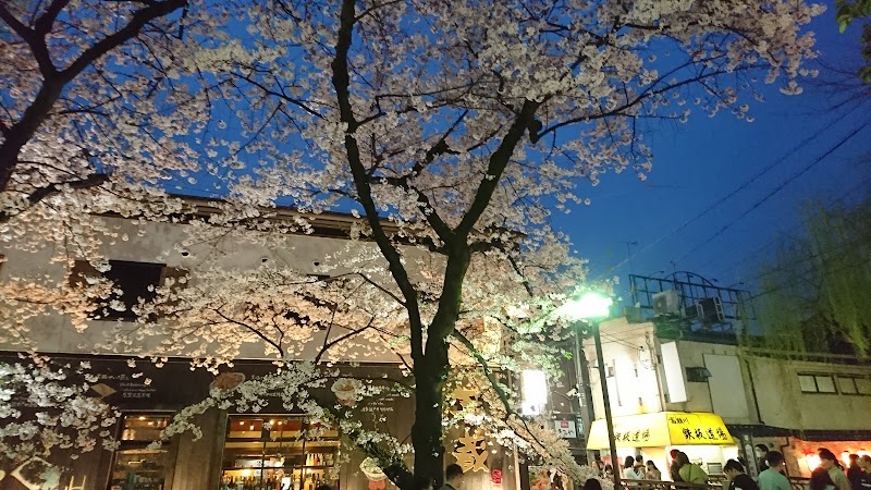 Gion - Gion Gion, Higashiyama Ward, Kyoto, Japan