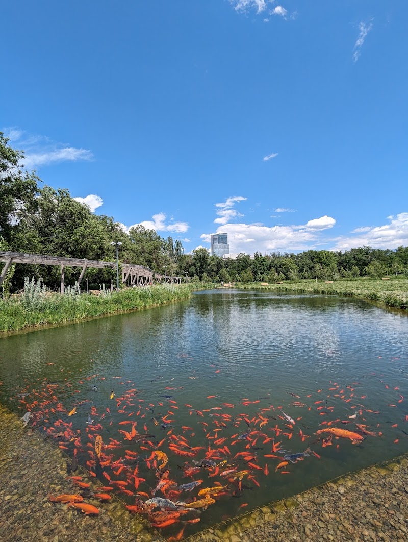Almaty Botanical Gardens - Almaty Botanical Gardens, Timiryazev St 36Д, Almaty 6050040, Kazakhstan