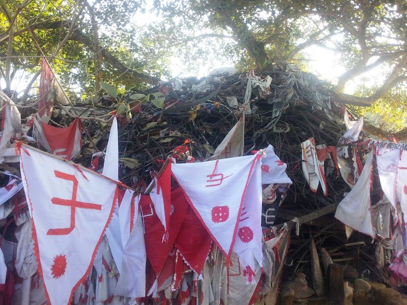 Aidi Devta Temple - Aidi Devta Temple, CJVR+6JG, South Gola Range, Uttarakhand 263138, India