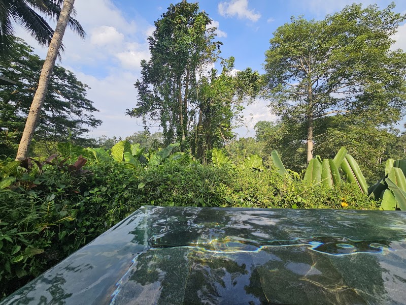 Infinity forest pool - Infinity forest pool, F7PH+3CW, Peliatan, Ubud, Gianyar Regency, Bali 80552, Indonesia
