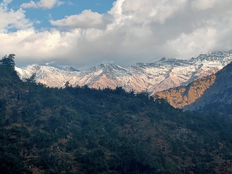 Shersi Heights Resort - Shersi Heights Resort, Sersi Village, Kedarnath road, Nh-109, Sersi, Uttarakhand 246471, India